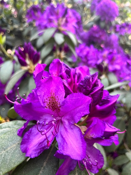 23-06-03 17-15-41 5821.jpeg